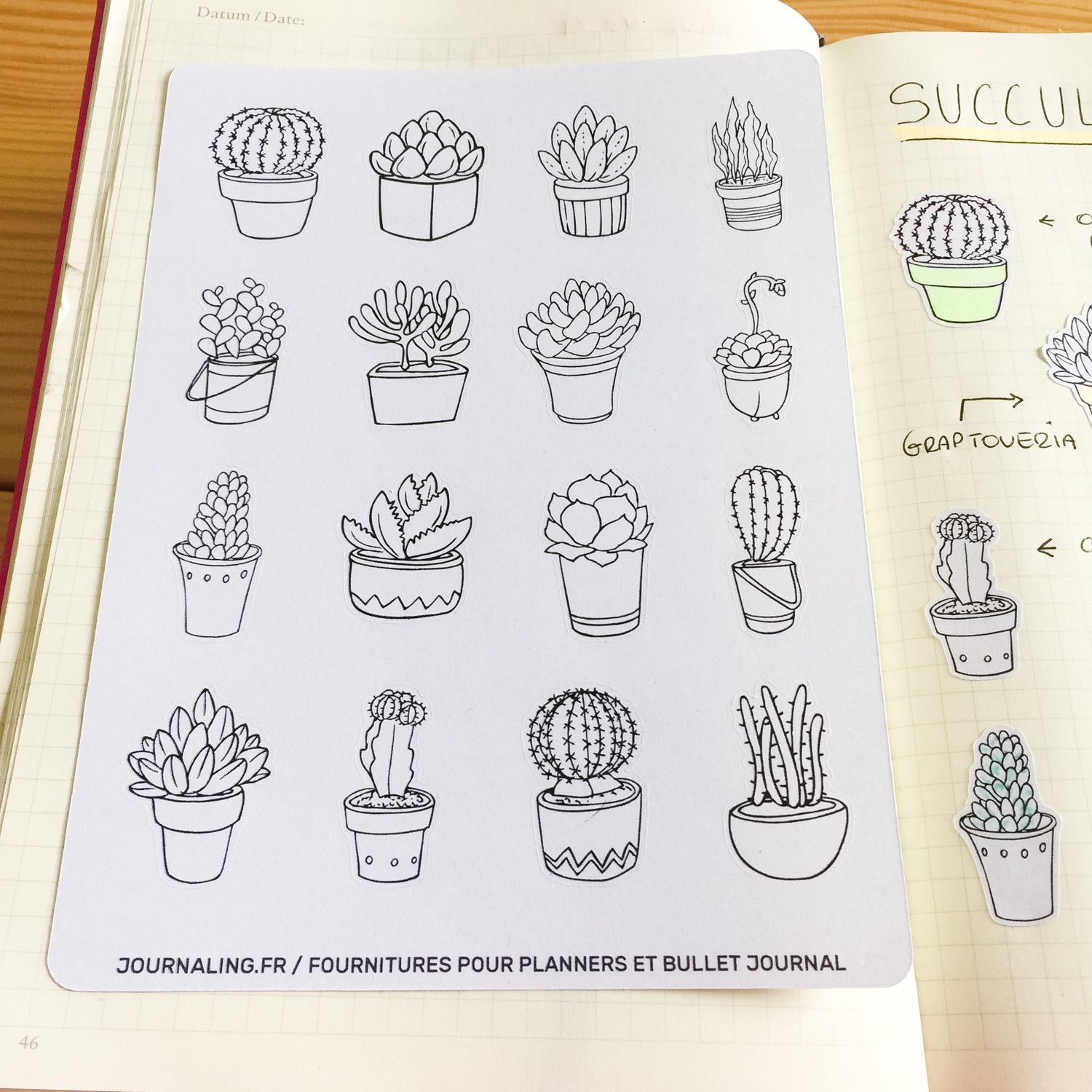 16 stickers Succulentes