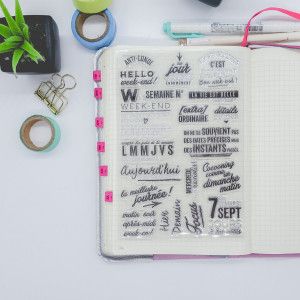 clear stamps bullet journal dailies