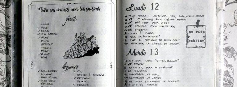 bullet-journal-francais