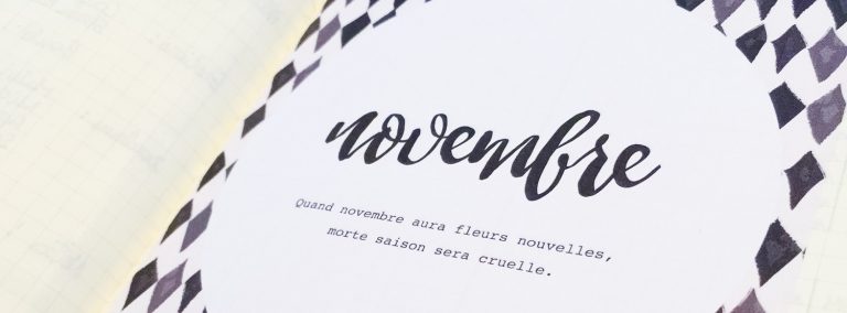 bulletjournal-bilan-5mois